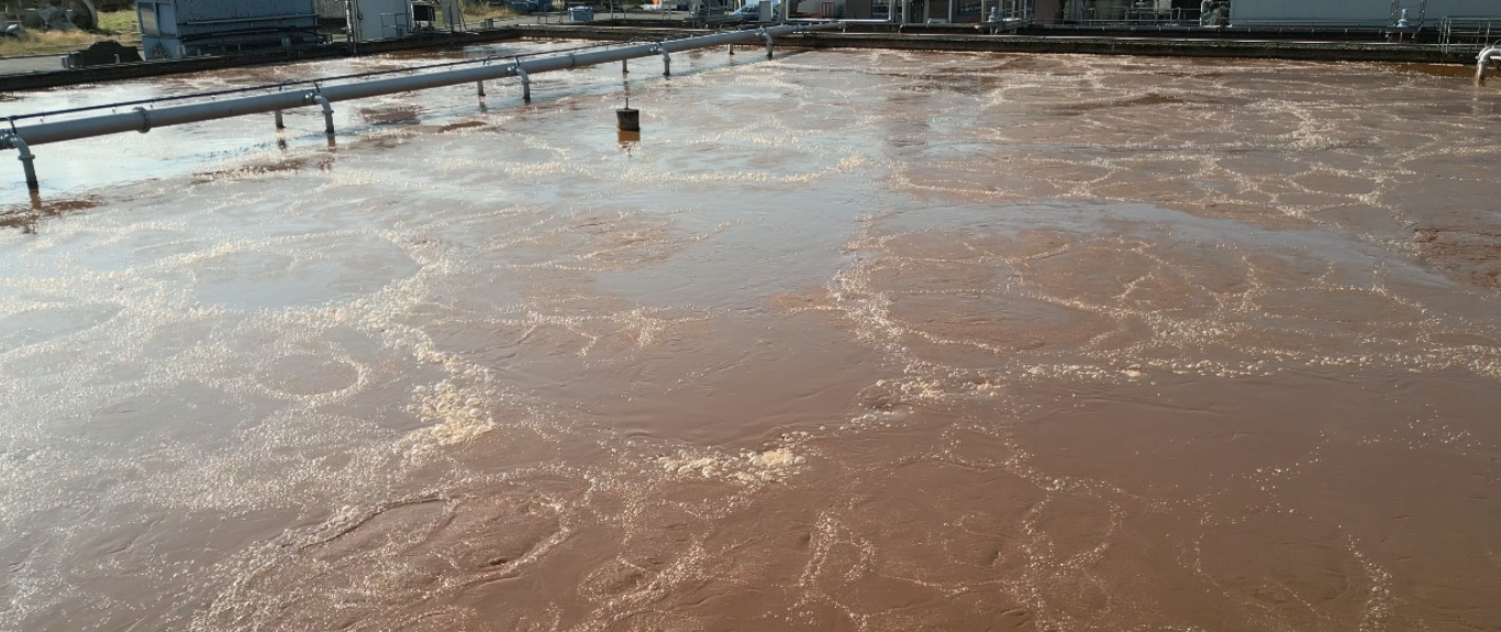 Danone - Pantarein Water.jpg